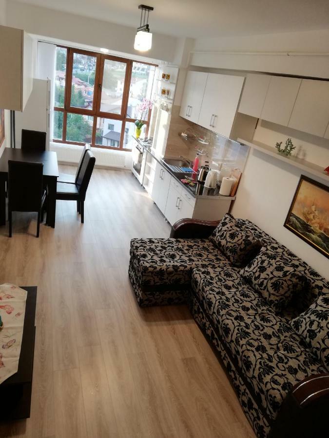 Kolonaki Domus Apartment Iasi Eksteriør bilde